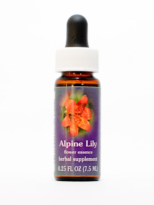 FES Alpine Lily (kleine Gebirgslilie)