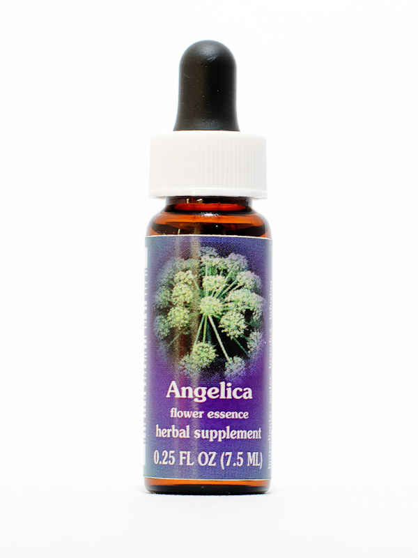 FES Angelica (Engelwurz)