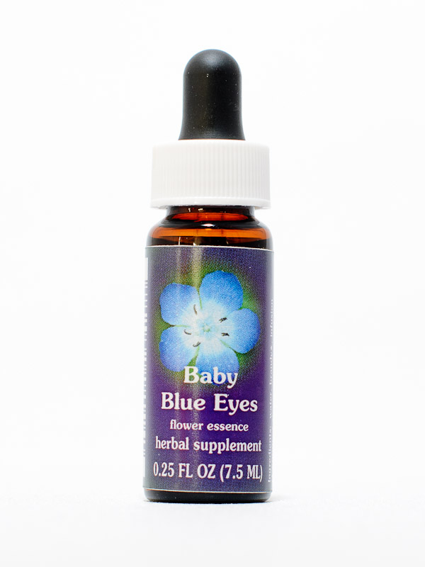 FES Baby Blue Eyes (Hainblume)