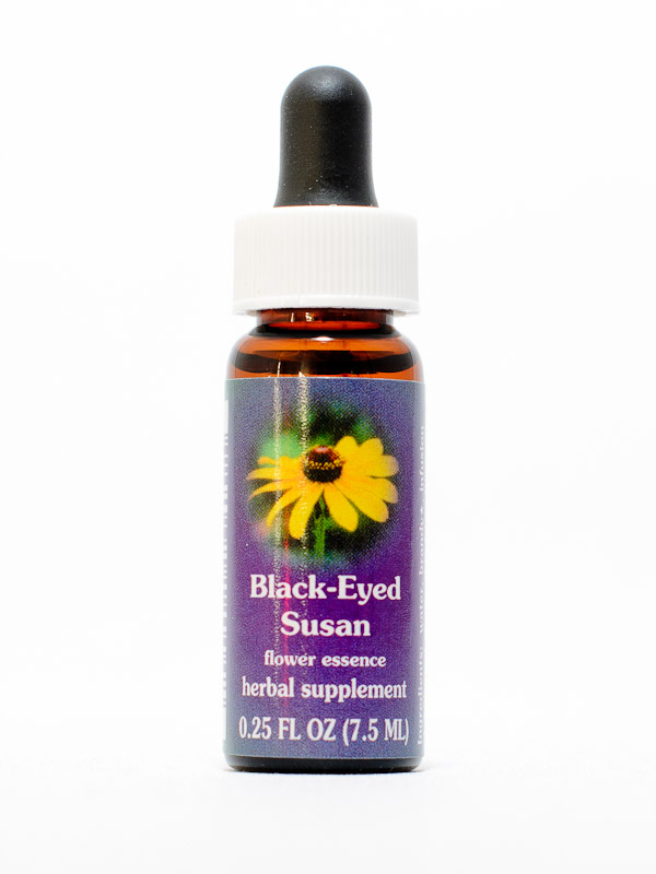 FES Black Eyed Susan (rauher Sonnenhut)