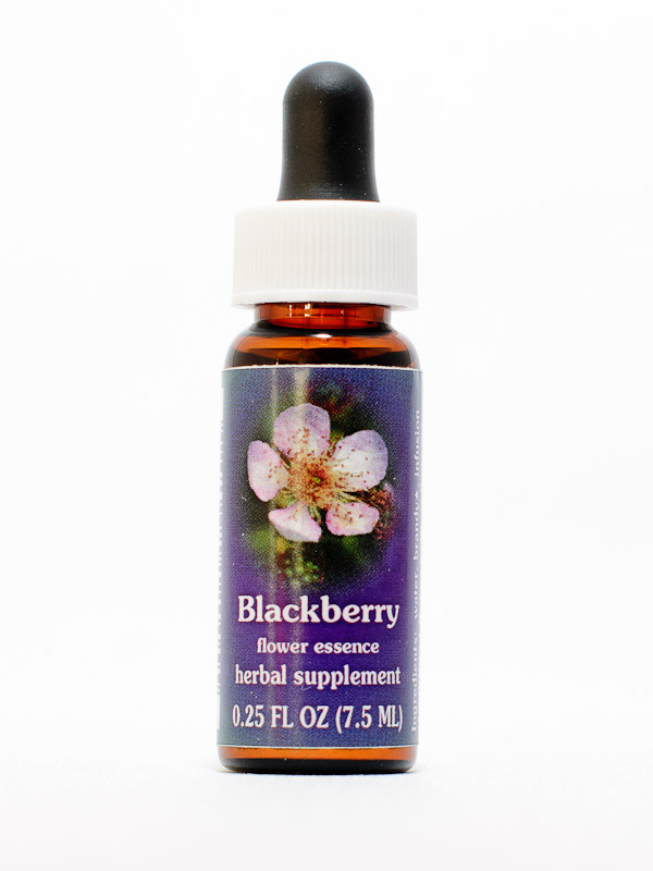 FES Blackberry (Brombeere)