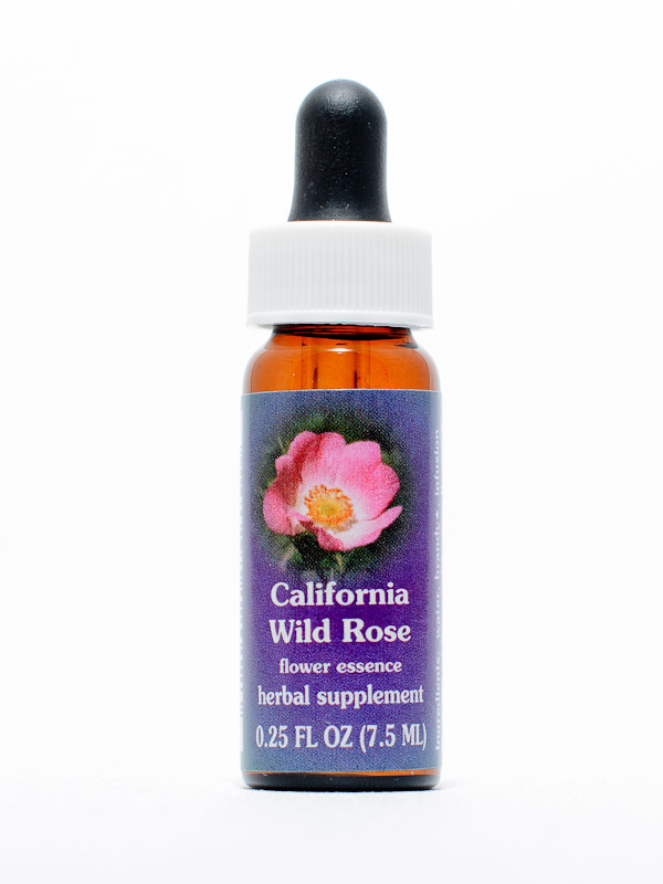 FES California Wild Rose (kalif. Heckenrose)