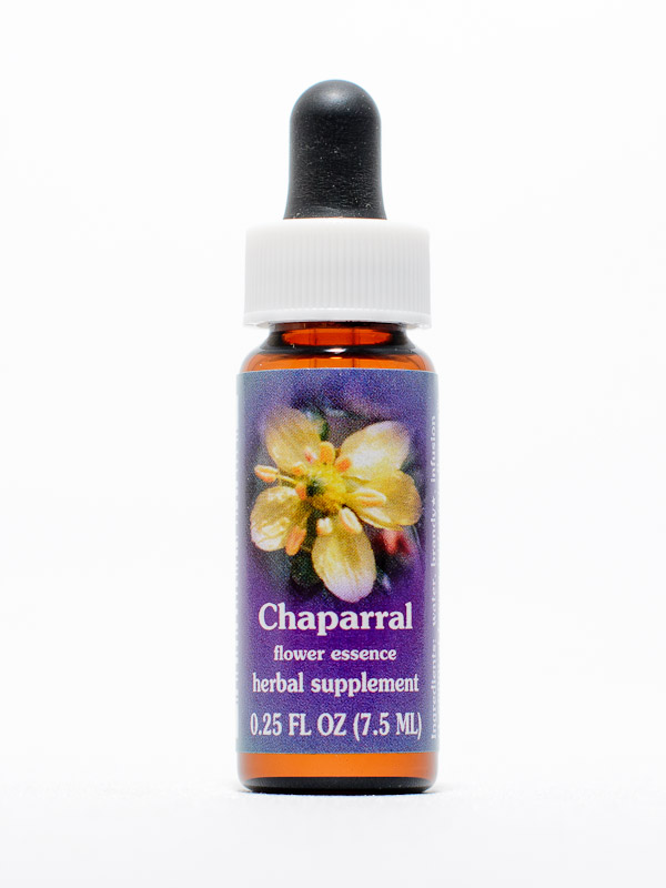 FES Chaparral (Kreosotenbush)
