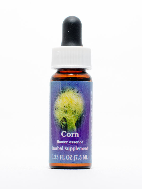 FES Corn (Mais)