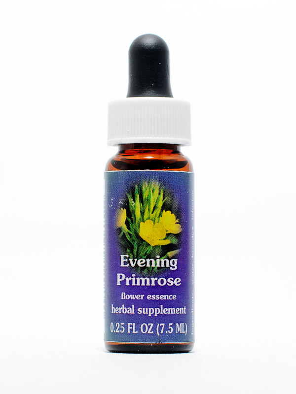 FES Evening Primrose (Nachtkerze)