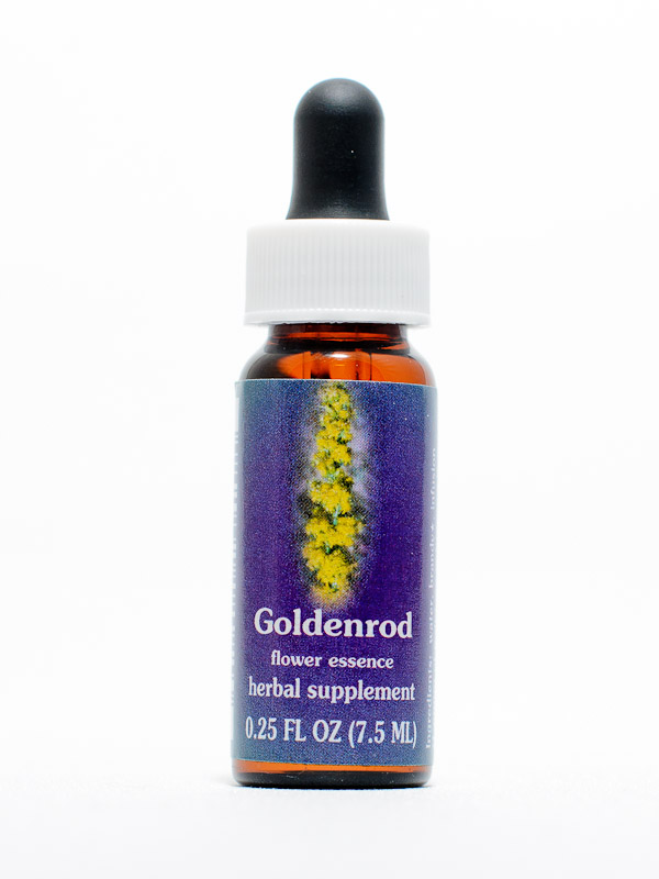 FES Goldenrod (kalif. Goldrute)
