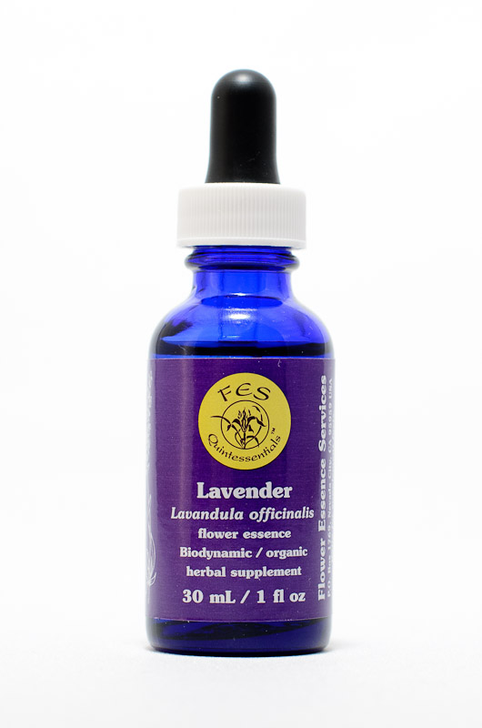 FES Lavender (Lavendel)