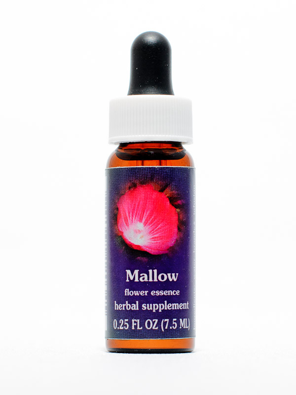 FES Mallow (Präriemalve)
