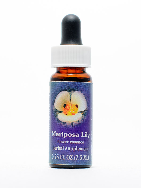 FES Mariposa Lily (Mormonentulpe)