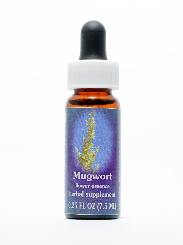 FES Mugwort (Beifuss)