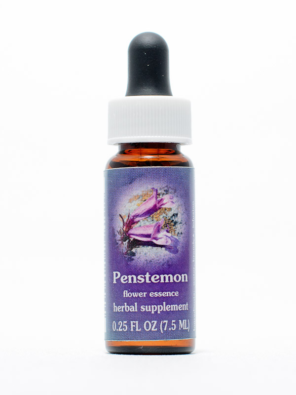 FES Penstemon (Bartfaden)