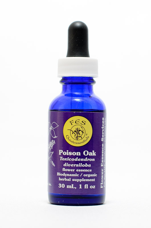 FES Poison Oak (Sumach)