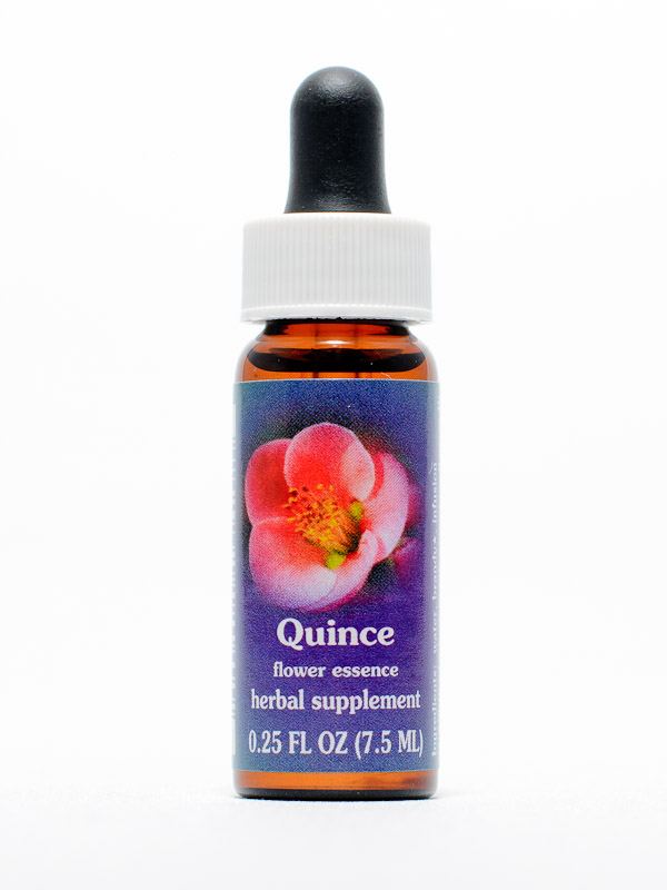 FES Quince (Zierquitte)