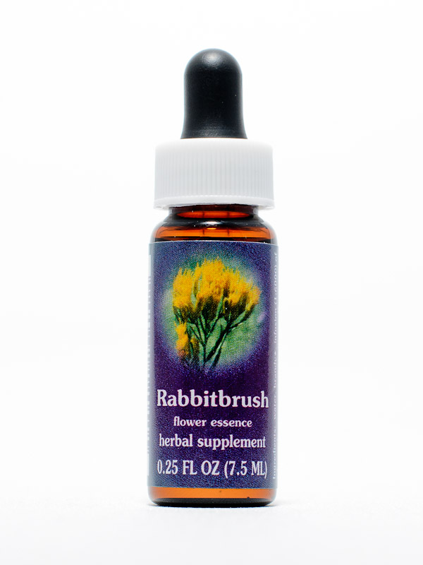 FES Rabbitbrush (Hasenbürste)