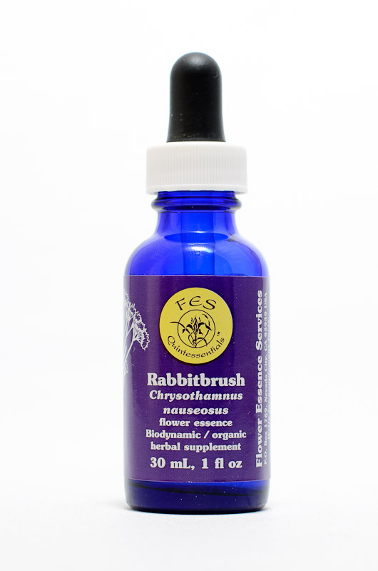FES Rabbitbrush (Hasenbürste)