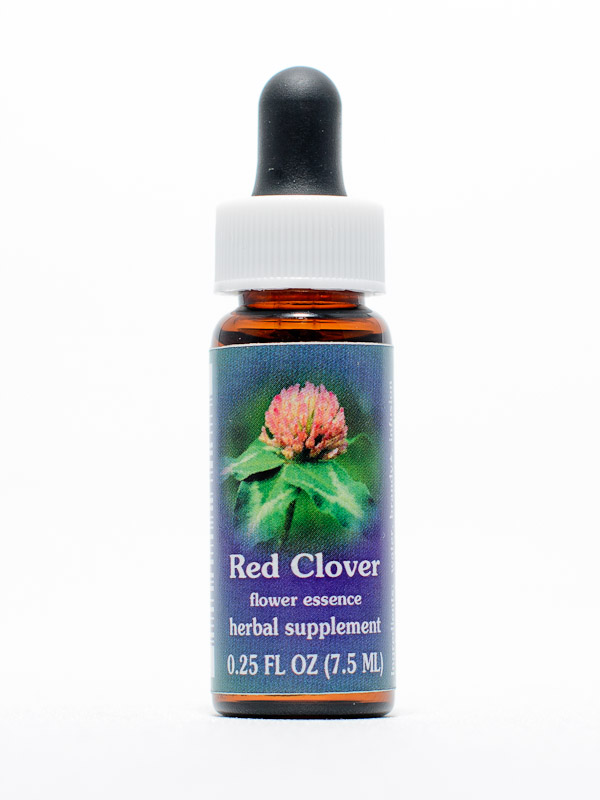 FES Red Clover (Wiesenklee)