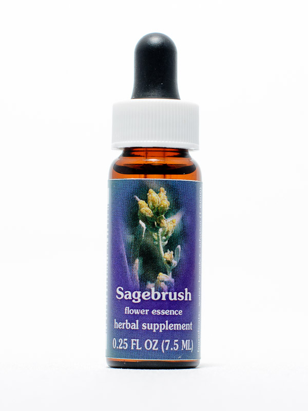 FES Sagebrush (dreizähniger Beifuß)