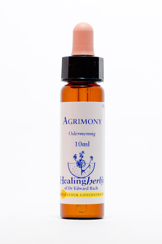 Healing Herbs 01 Agrimony (Odermennig)