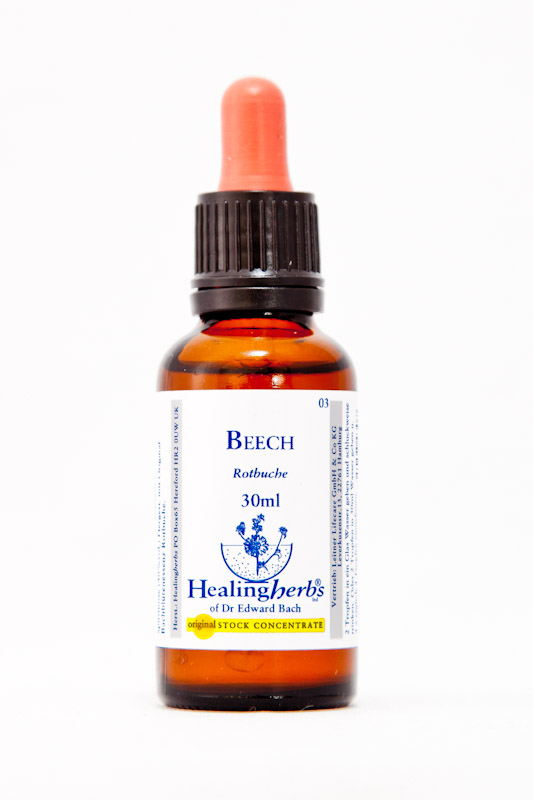 Healing Herbs 03 Beech (Rotbuche)
