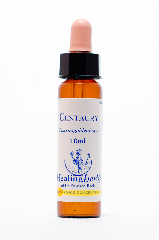 Healing Herbs 04 Centaury (Tausendgüldenkraut)