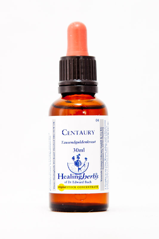Healing Herbs 04 Centaury (Tausendgüldenkraut)