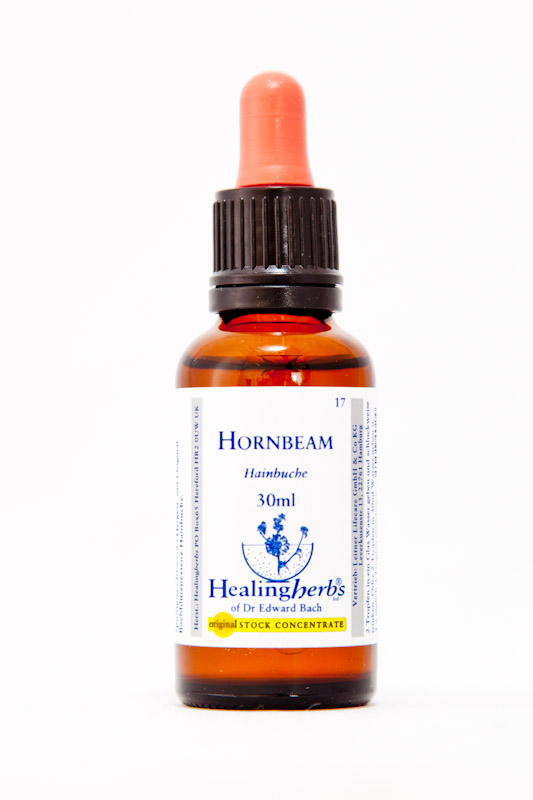 Healing Herbs 17 Hornbeam (Hainbuche)