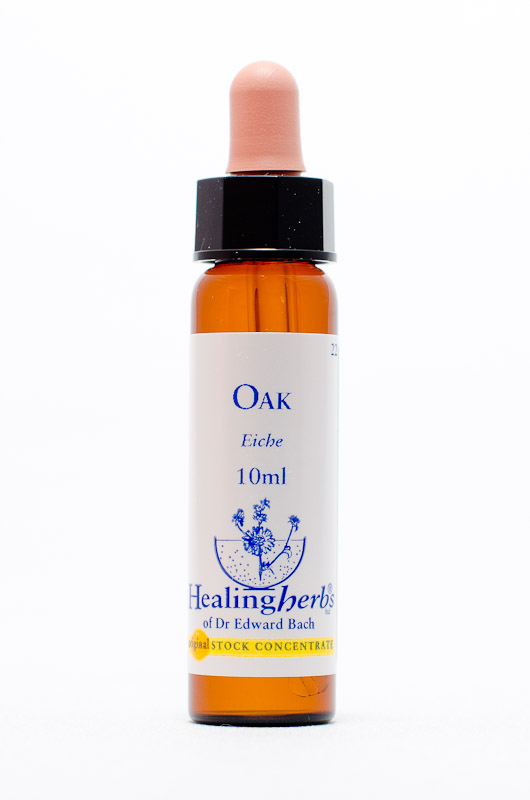 Healing Herbs 22 Oak (Eiche)
