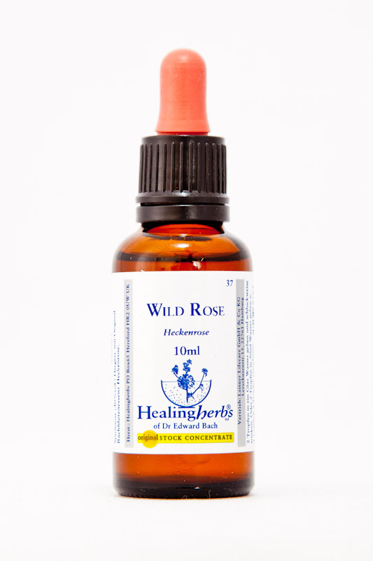Healing Herbs 37 Wild Rose (Hundsrose)