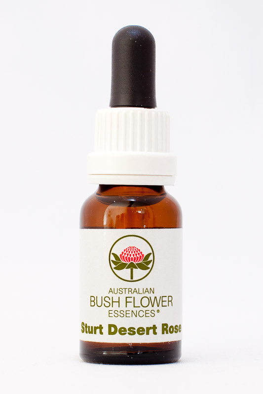 AUB Sturt Desert Rose