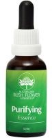 AUB Purifying (Detox) Essence