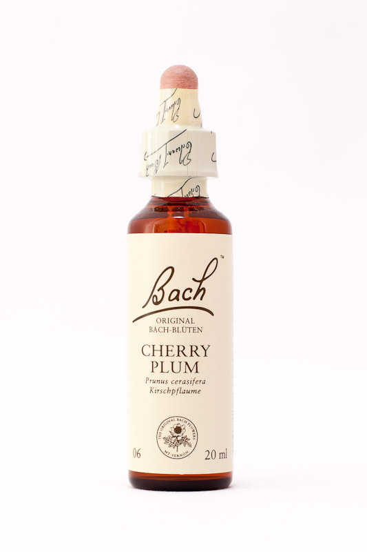 06 Cherry Plum (Kirschpflaume)