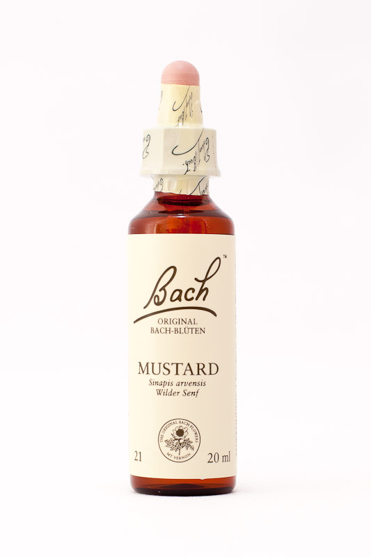 21 Mustard (Ackersenf)
