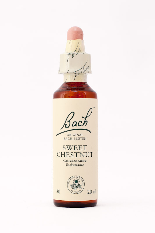 30 Sweet Chestnut (Edelkastanie)