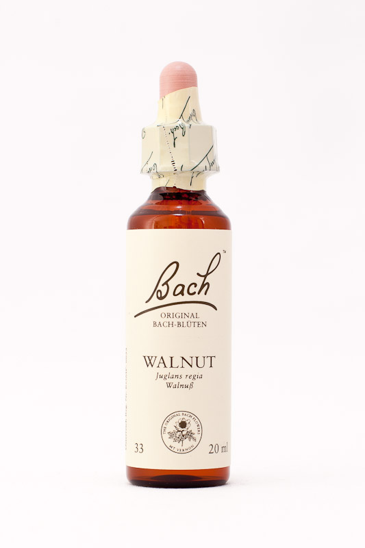 33 Walnut (Walnuss)