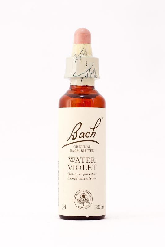 34 Water Violet (Wasserfeder)