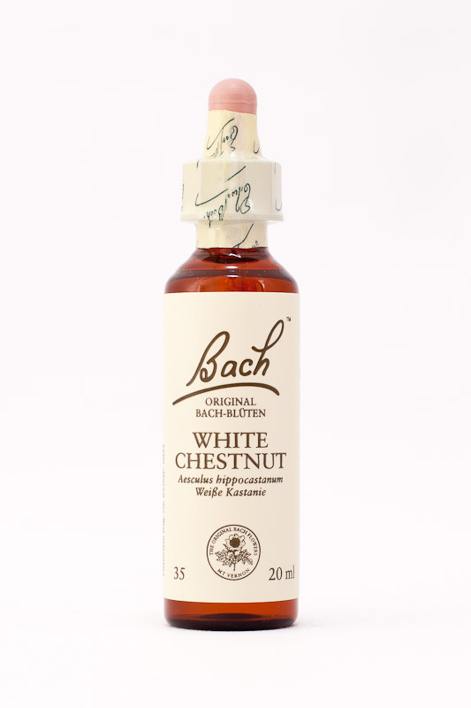35 White Chestnut (Rosskastanie)