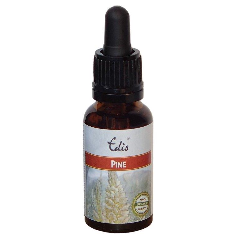 Edis Bio 24 Pine
