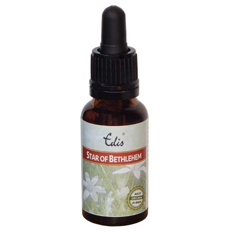 Edis Bio 29 Star of Bethlehem