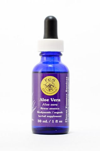 FES Aloe Vera (Aloe)
