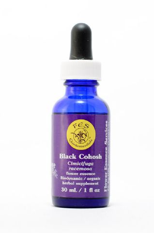 FES Black Cohosh (Trauben-Silberkerze)