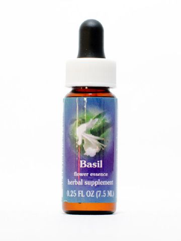 FES Basil (Basilikum)