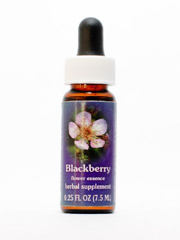 FES Blackberry (Brombeere)