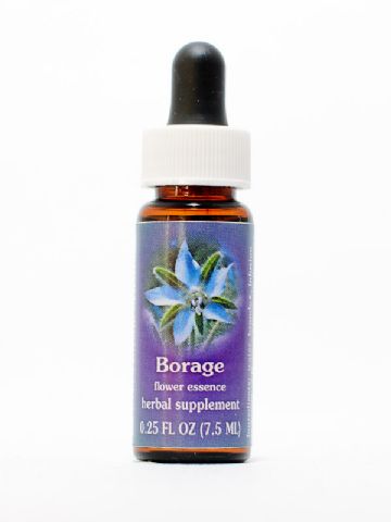 FES Borage (Borretsch)