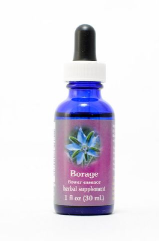 FES Borage (Borretsch)