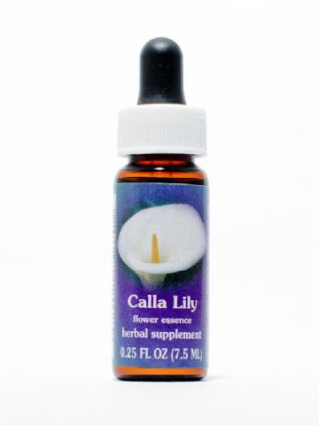 FES Calla Lily (Calla)