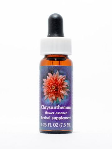 FES Chrysanthemum (Chrysantheme)