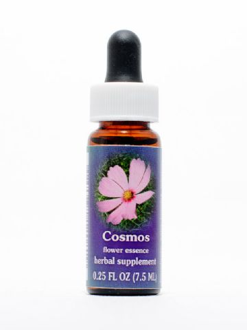 FES Cosmos (Kosmea)