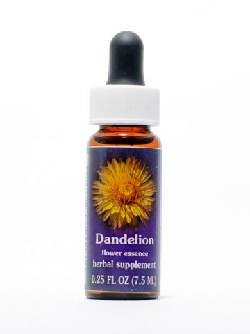FES Dandelion (Löwenzahn)