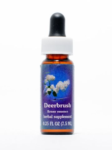 FES Deer Brush (Säckelblume)