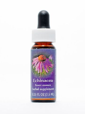 FES Echinacea (Roter Sonnenhut)
